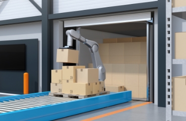 Robot Vision